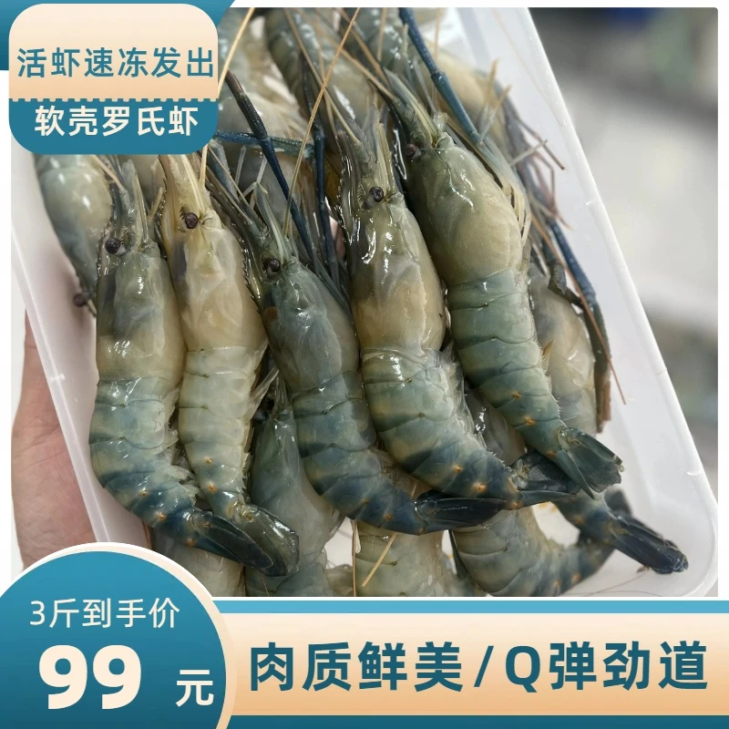 3斤软壳罗氏虾鲜活顺丰超低温速冻罗氏虾