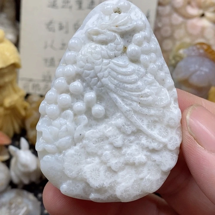 颈饰未镶嵌硅化珊瑚（珊瑚玉）
