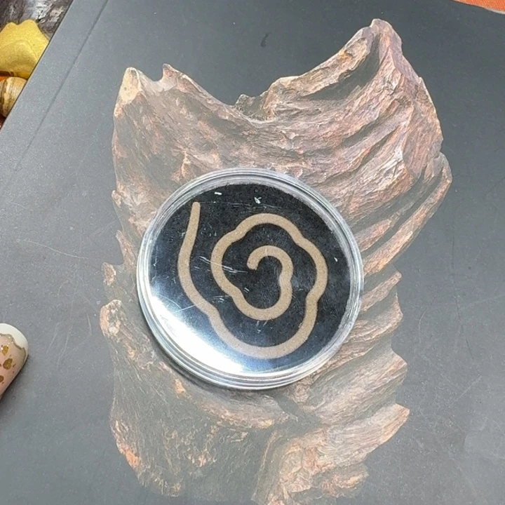 大叶紫檀（黑酸枝木类）