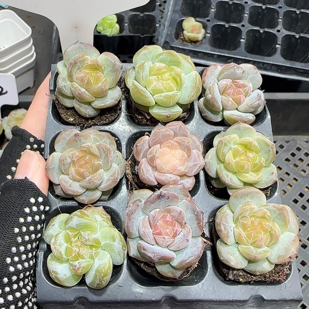 122哈哈哈哈哈哈哈