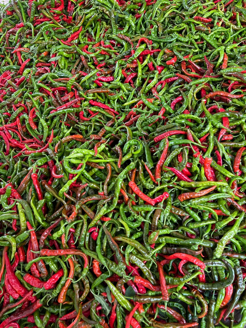 湖南农家自种新鲜青小皱皮辣椒超辣虎皮香辣巨辣特辣椒薄皮皱皮辣