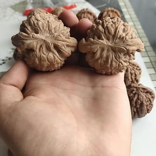 文玩核桃闪购61尺龙鼎