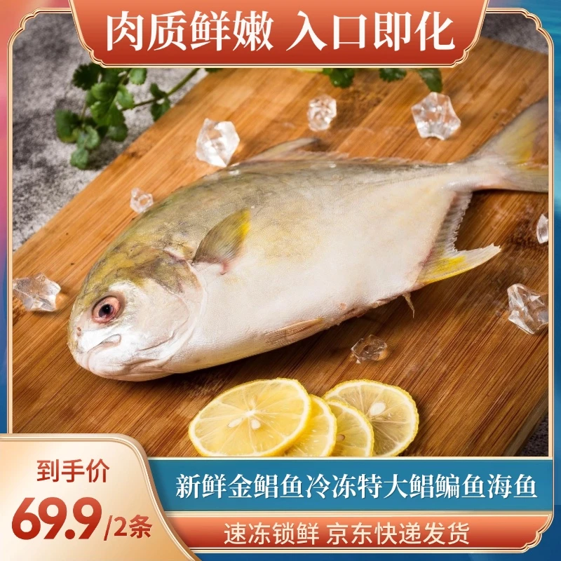 芦汉三利【金鲳鱼】新鲜金鲳鱼冷冻特大鲳鳊鱼海鱼海鲜平鱼冰鲜