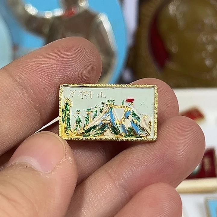 坚***石其他普通金属纪念章