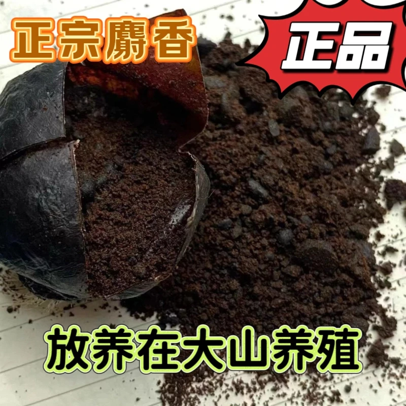 正宗麝香古老秘方搭配使用效果好用过的人说好鱼饵料正品麝香粉