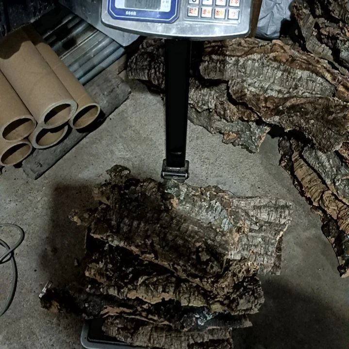 木一物一拍一物一发