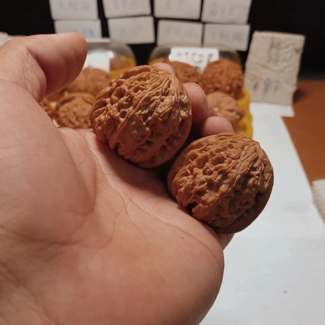 把件文玩核桃鹏*暴雪