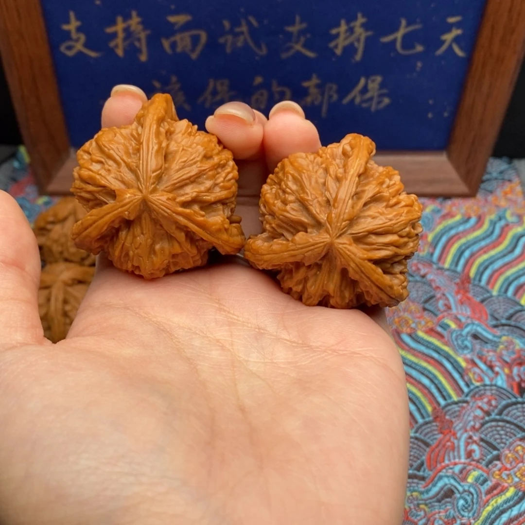 【闪购商品】初*白狮