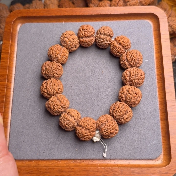 菩提8号尼泊尔大金刚23梅花梁