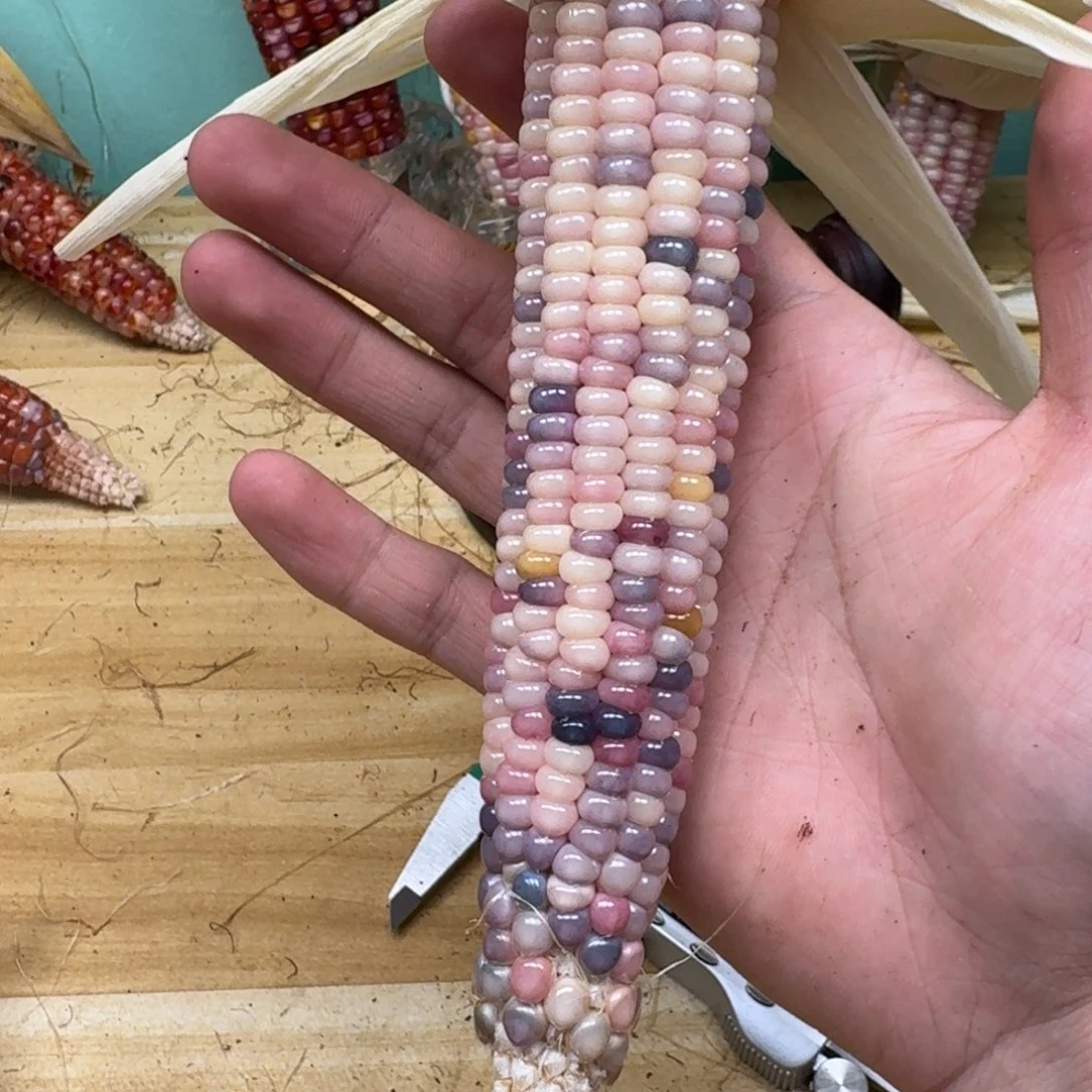 ****我柏香籽/百香籽吊坠