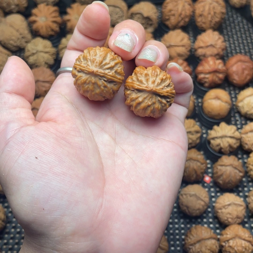 ****.文玩把件野生小满天星