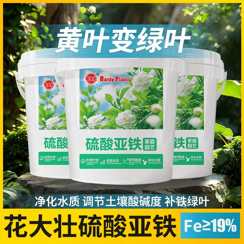 【珊家专属】通用型促根壮苗茉莉栀子茶花室内水溶性铁肥料高效补铁
