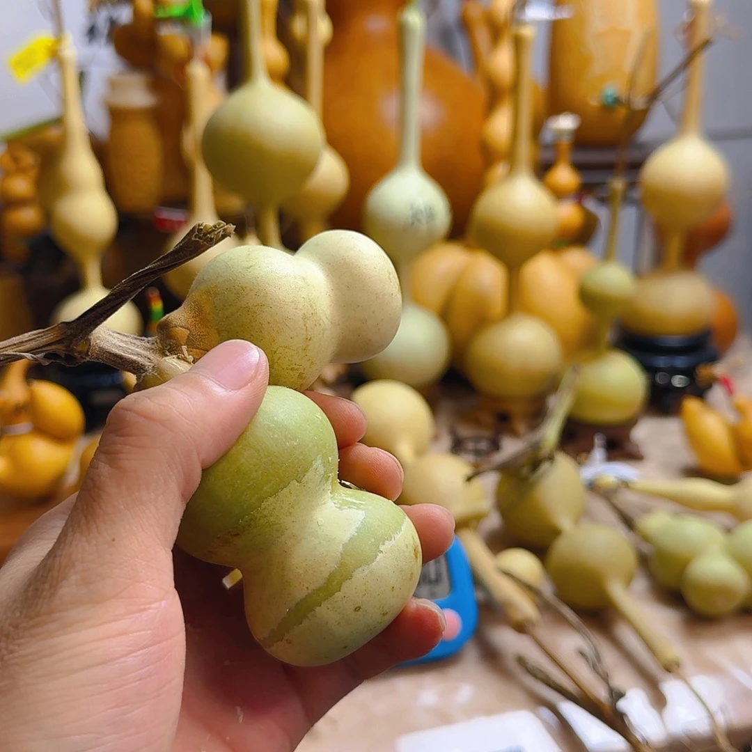 匏***缘三庭葫芦手把葫芦