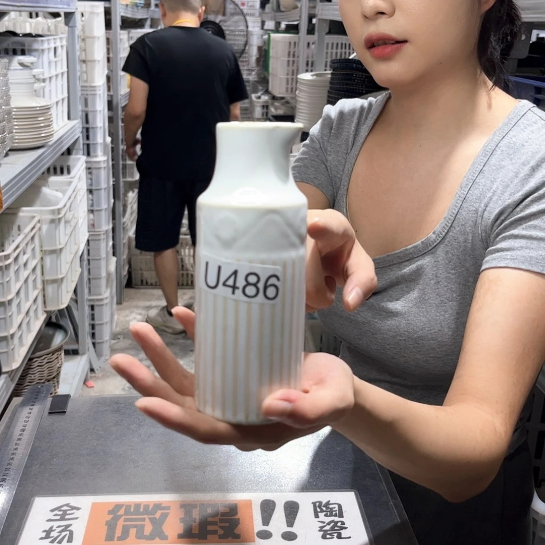 瓷片486              2个