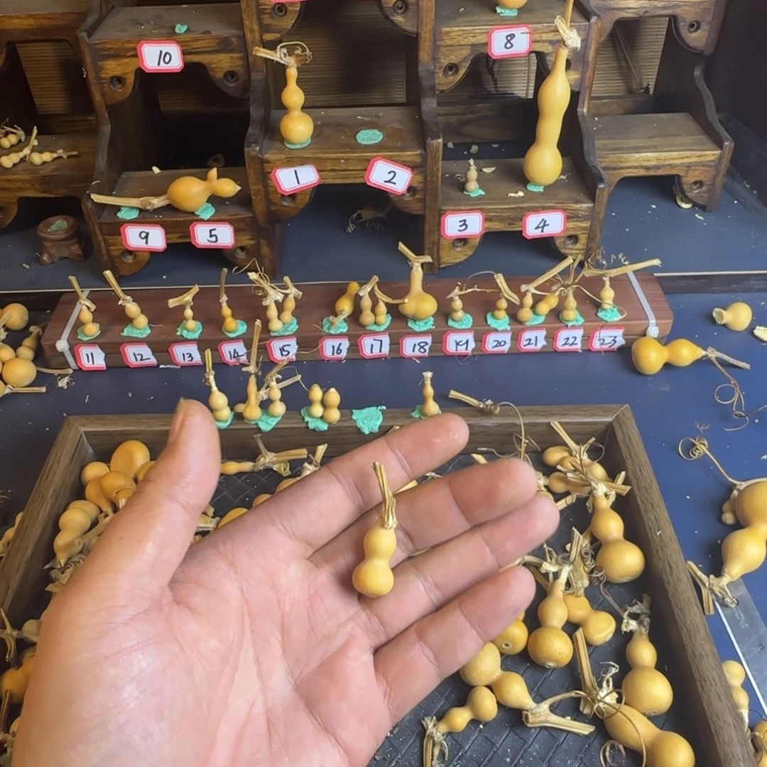 薄*つ我是一只小小鸟地域鬼的人都
