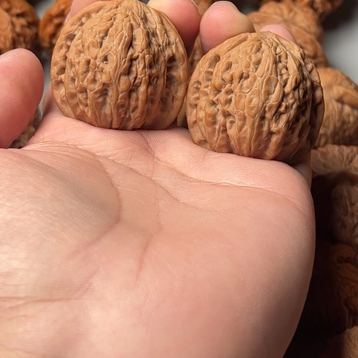 全品38原装铁锤123456