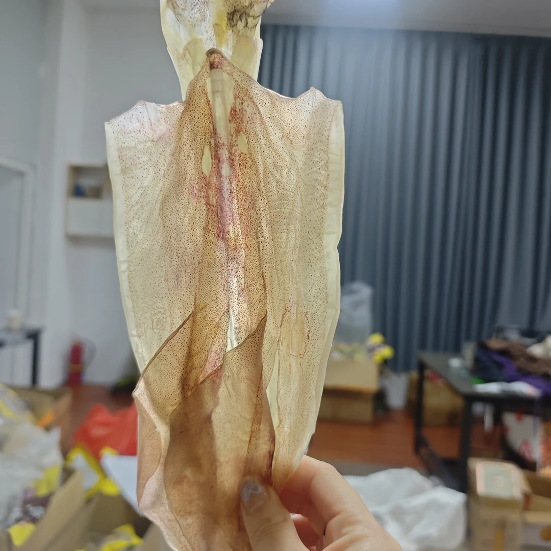 【三三】甲子海钓鱿鱼干500克