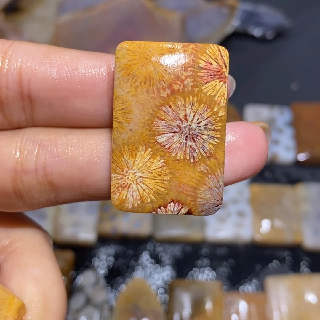 【闪购商品】未镶嵌珊瑚玉硅化玉包抛光