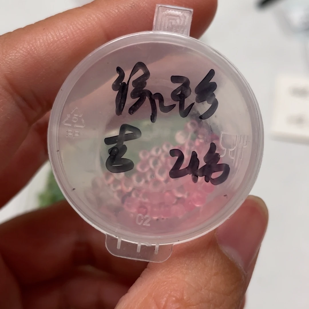 绿体珍妮✖️吉娃娃20粒