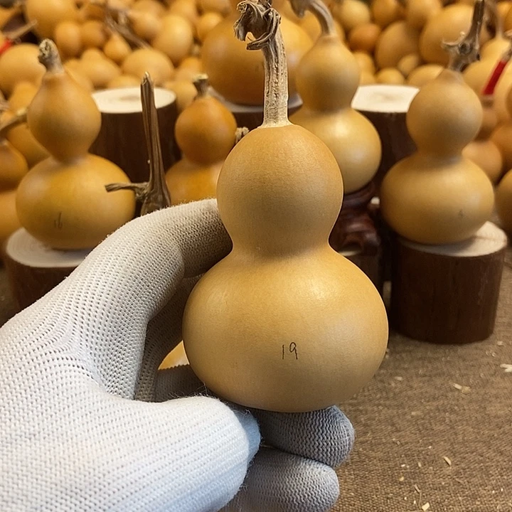 文玩葫芦 完美主义者 慎拍19