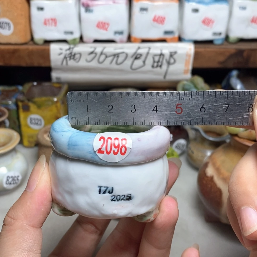 拍3送一个小礼物