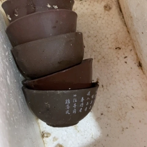 王*乐Zczczczczcxxcc.