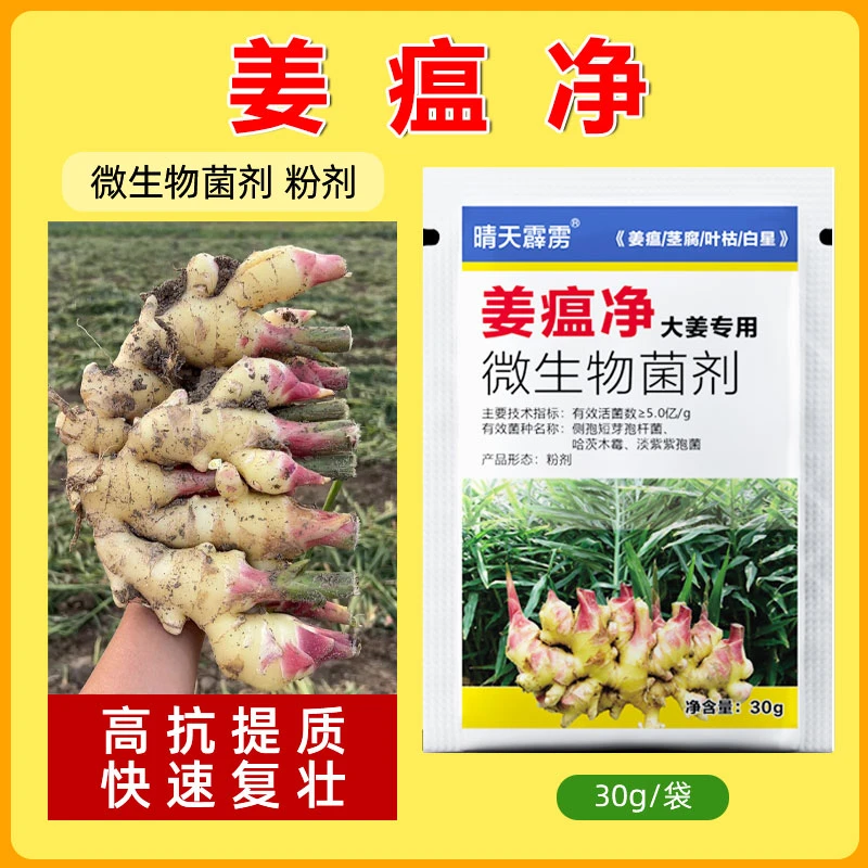 姜瘟净大姜药茎基腐烂脖子靑枯黄叶大姜生姜药根腐微生物菌剂肥料