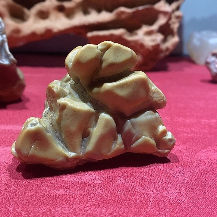 石头阿拉善戈壁奇石。