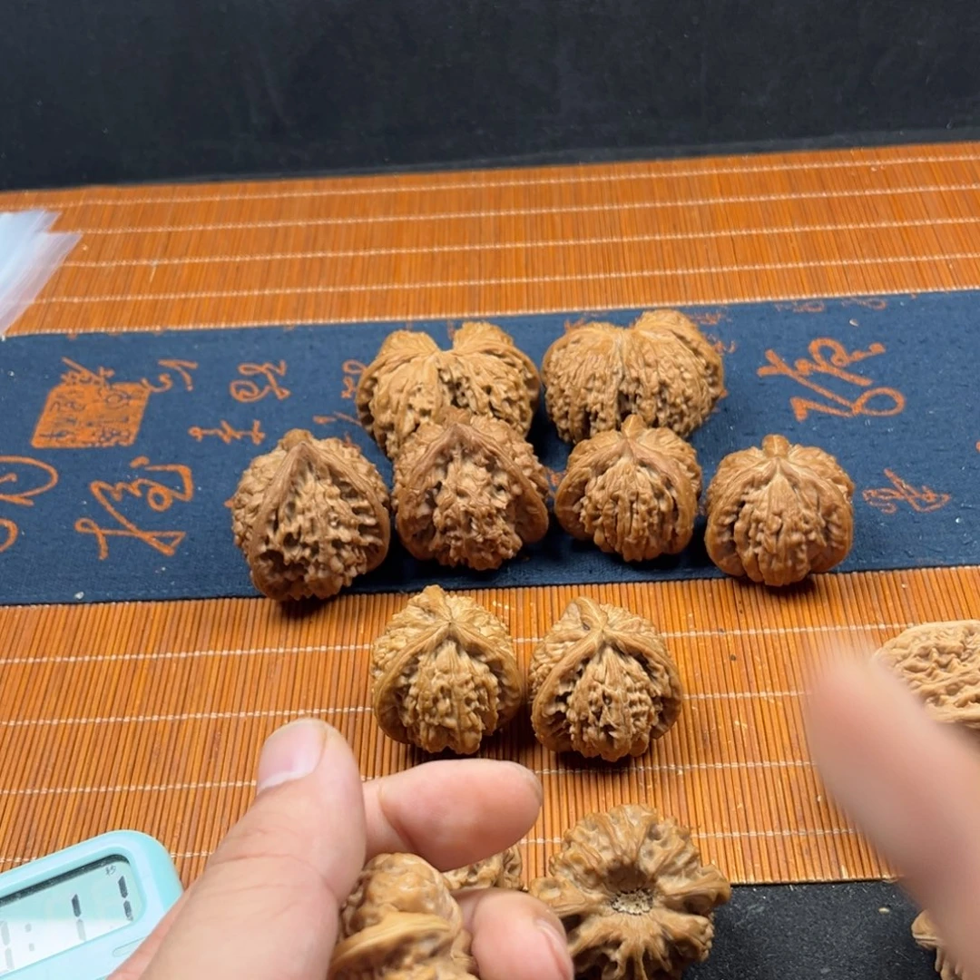 核桃核桃种植和畜牧经济合作