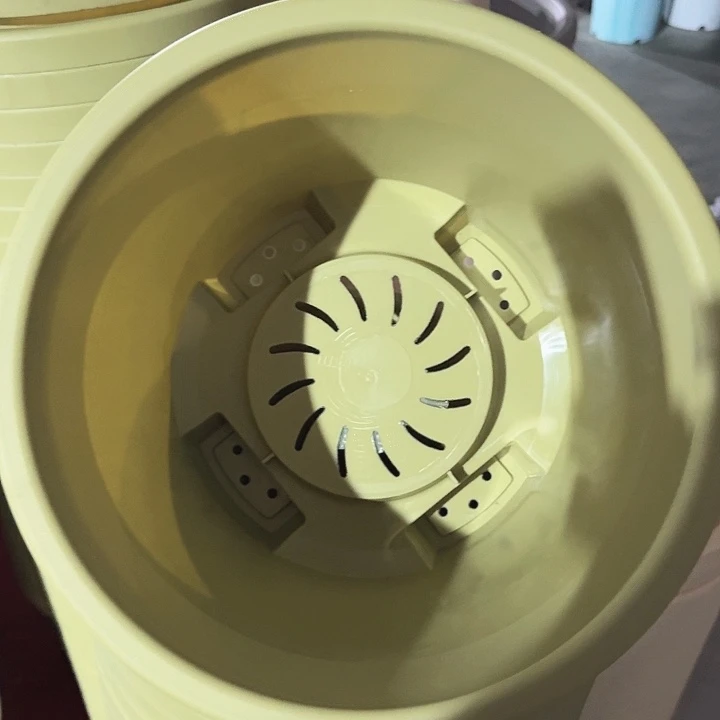 球根盆4号果绿无托5个