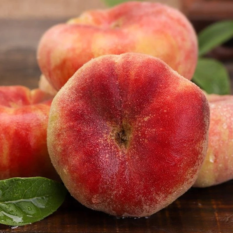 【EMS空运】精美礼盒装新疆石河子蟠桃虎皮蟠桃石河子一四三团蟠桃