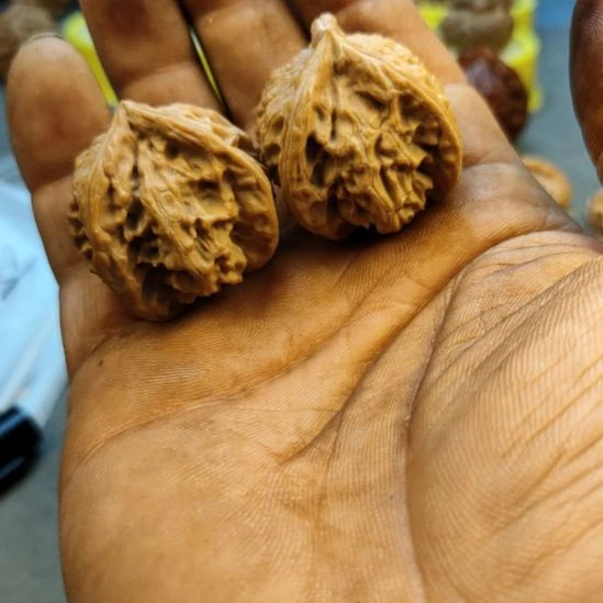 核桃35盘山三棱核桃
