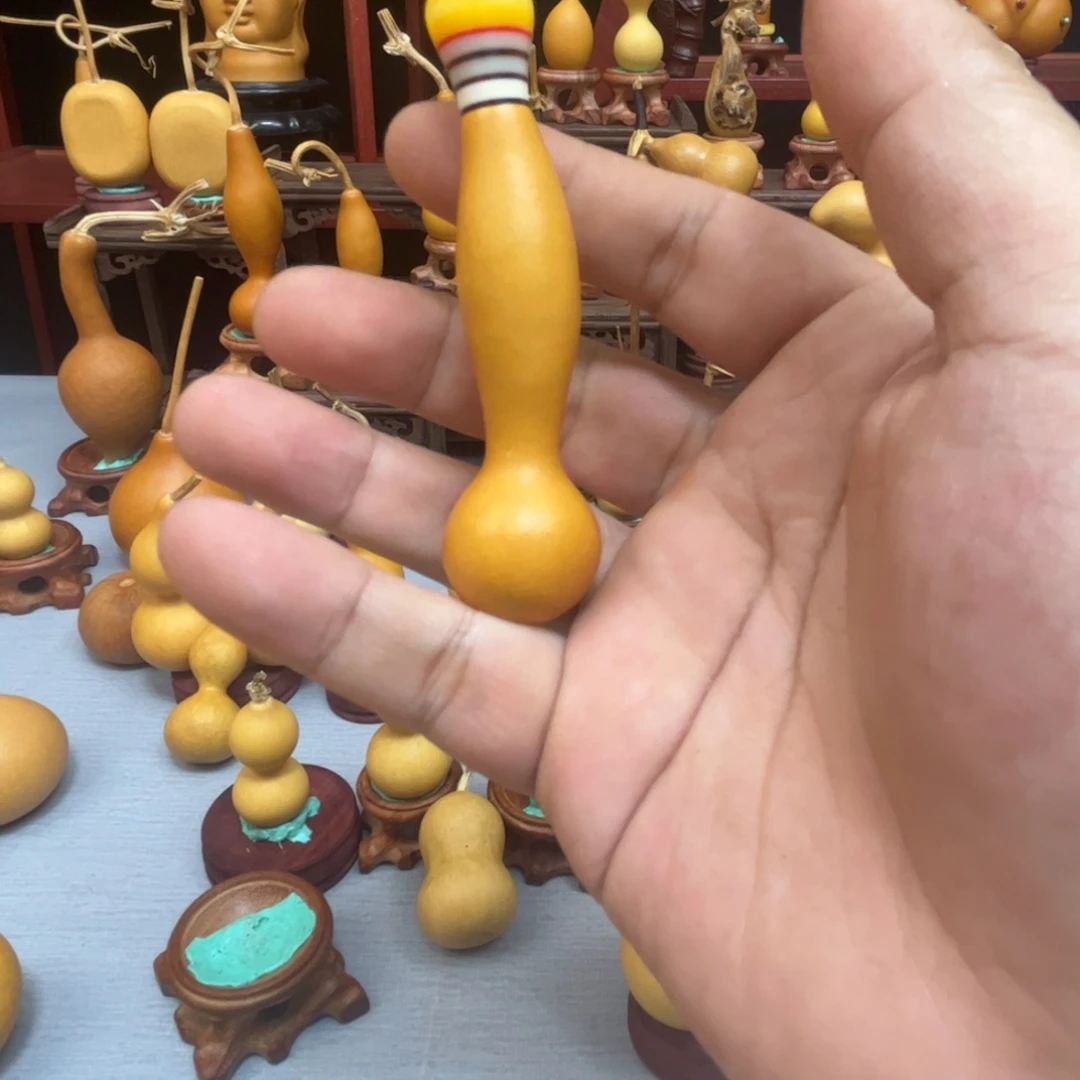 高***猛藤木我的小可爱，一点也不像个女孩