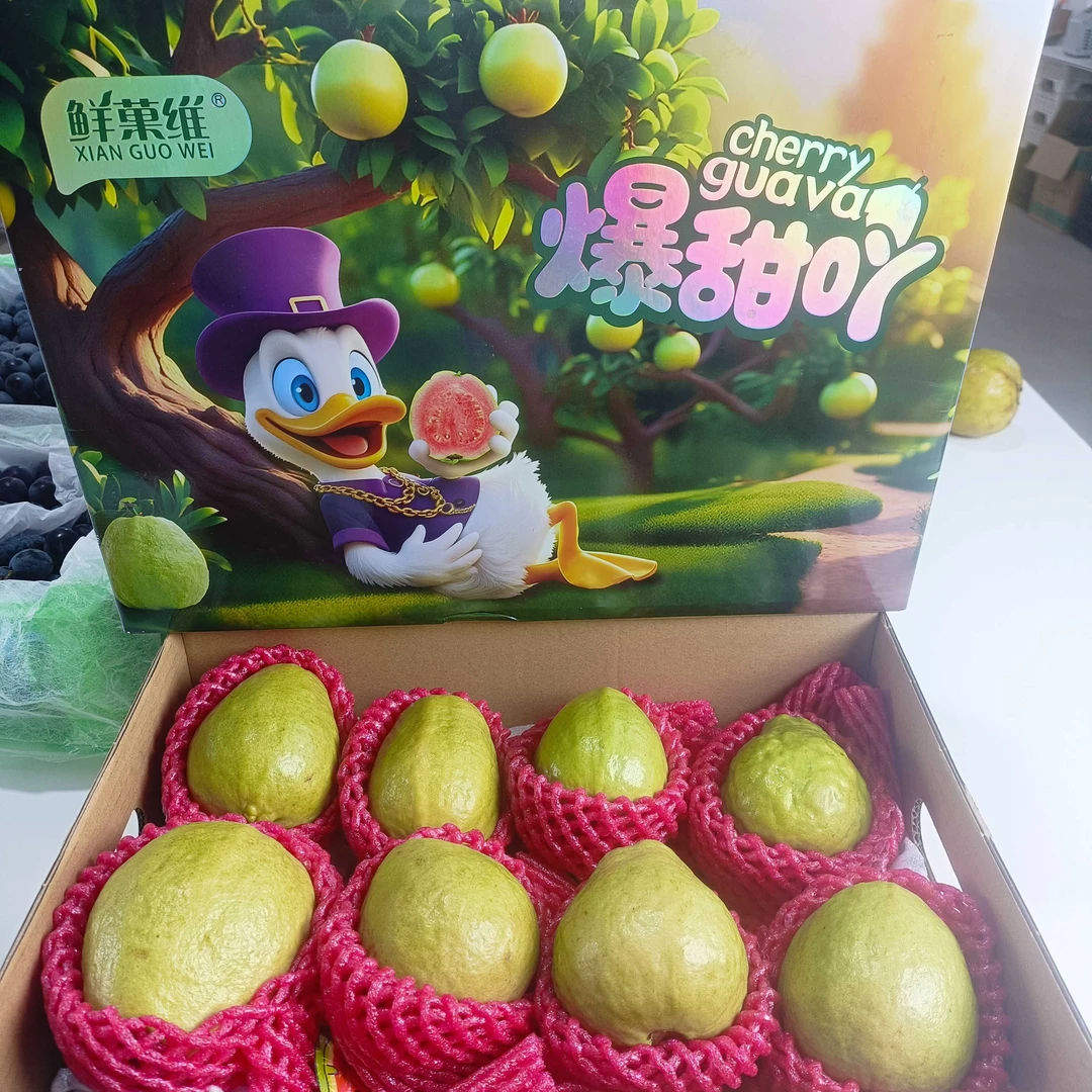 芭乐礼盒(惠鲜水果)
