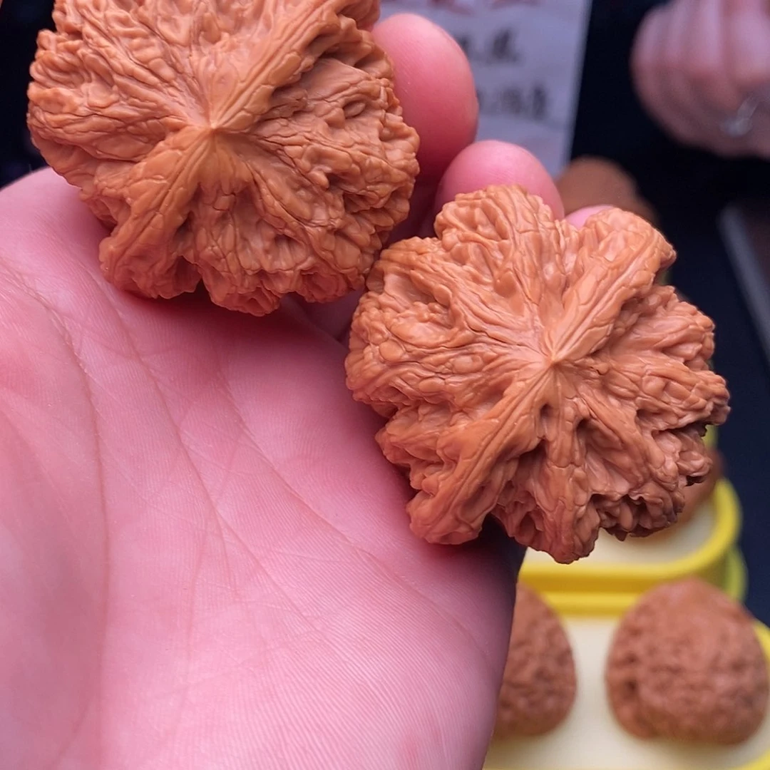 桃核把件灯***海平谷大粗筋尺寸46