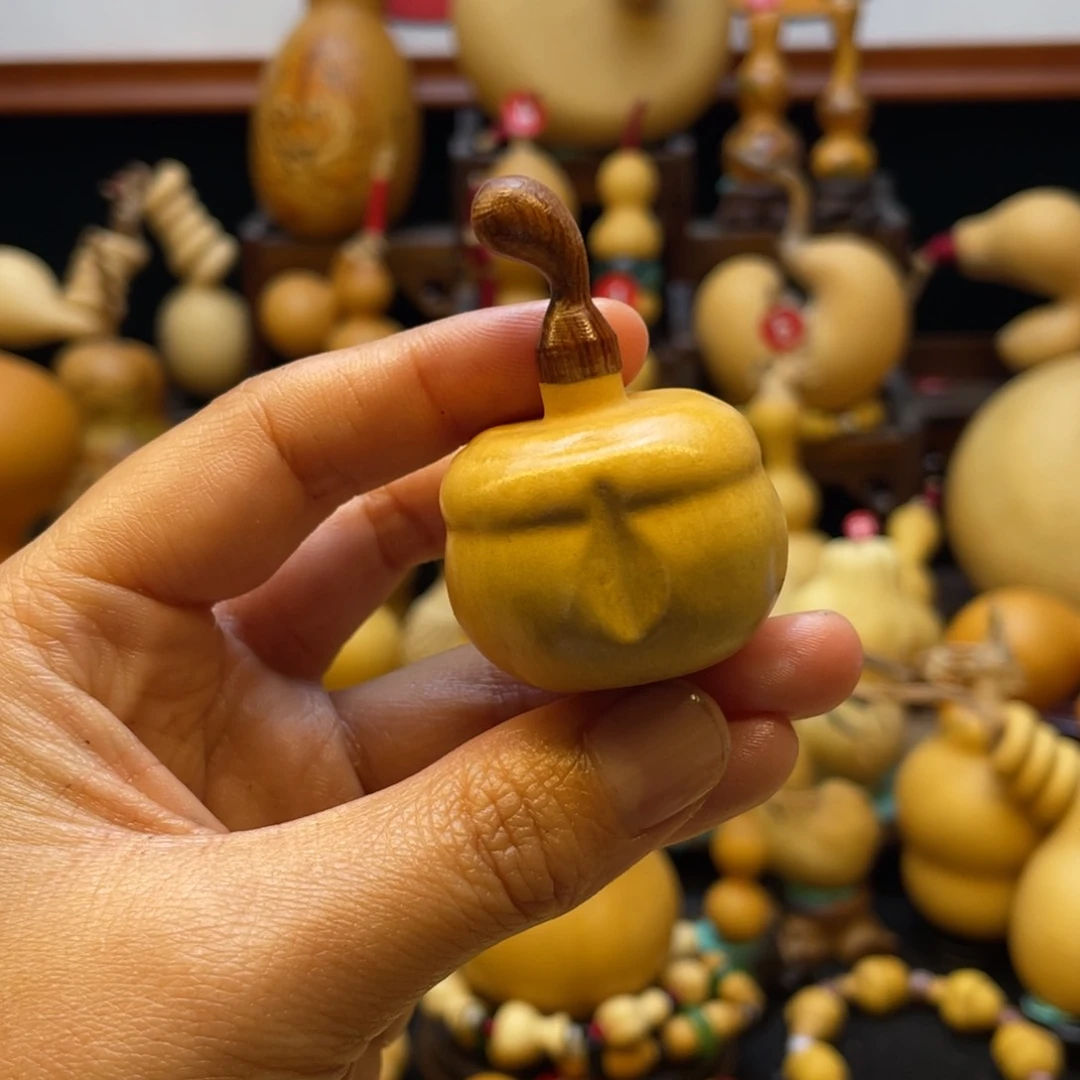 山*大自然的秘密第十一节