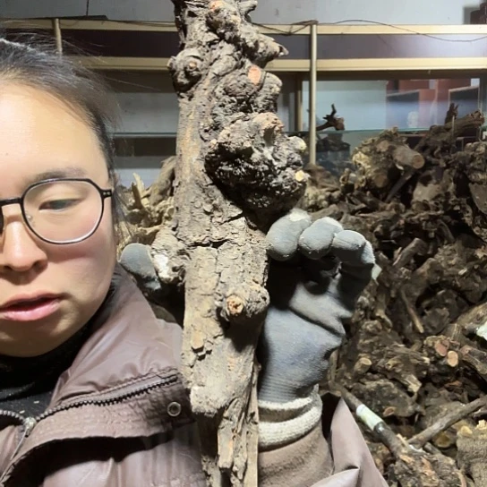 香榧木哪***_火琉璃的毛料摆件