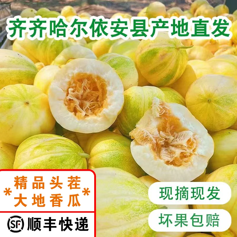 【顺丰】东北香瓜大地头茬现摘现发新鲜水果应季白糖薄皮超甜小脆瓜