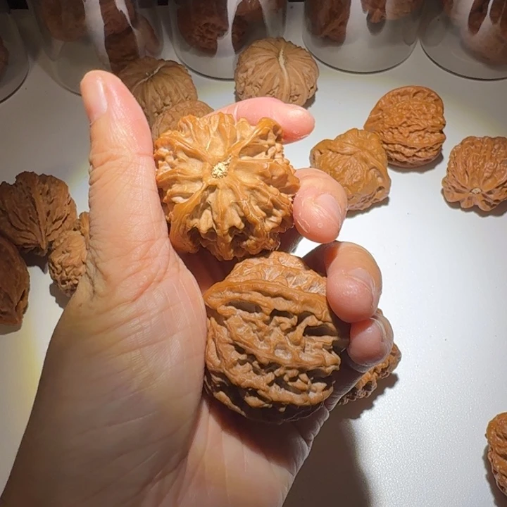 狗***儿是因为在这里看到的