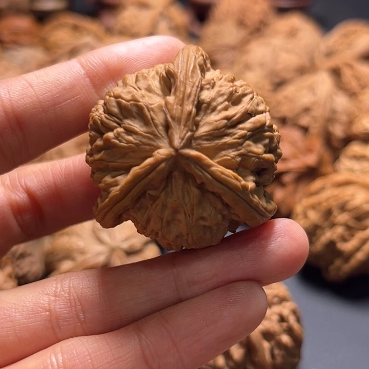 施****白狮子三棱38尺寸单只核桃哈哈哈哈哈