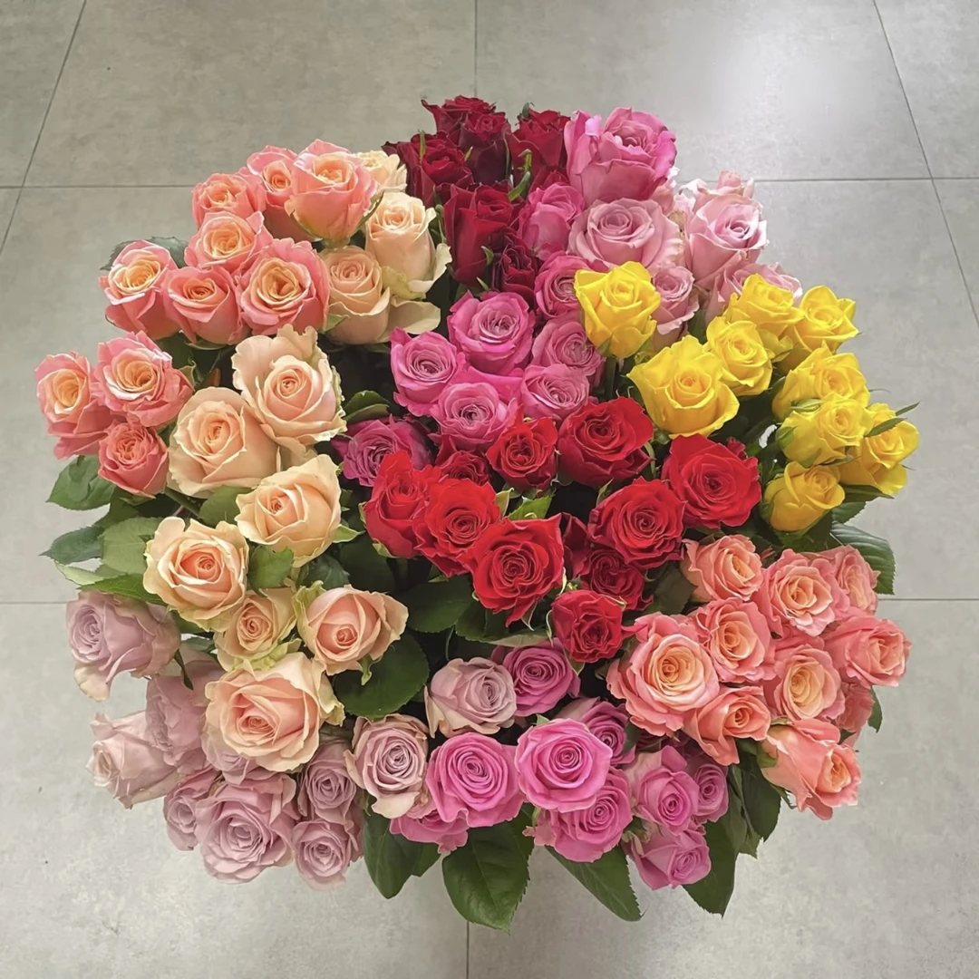 10枝玫瑰+5枝桃枝+1扎洋牡丹+1扎配草套餐（一单中通两单京东）