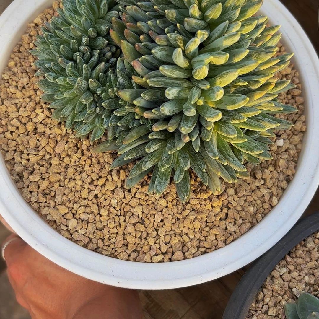 啦啦啦啦啦啦啦啦啦啦