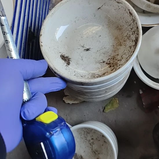 乙***安瓷发六个色拉碗口径15