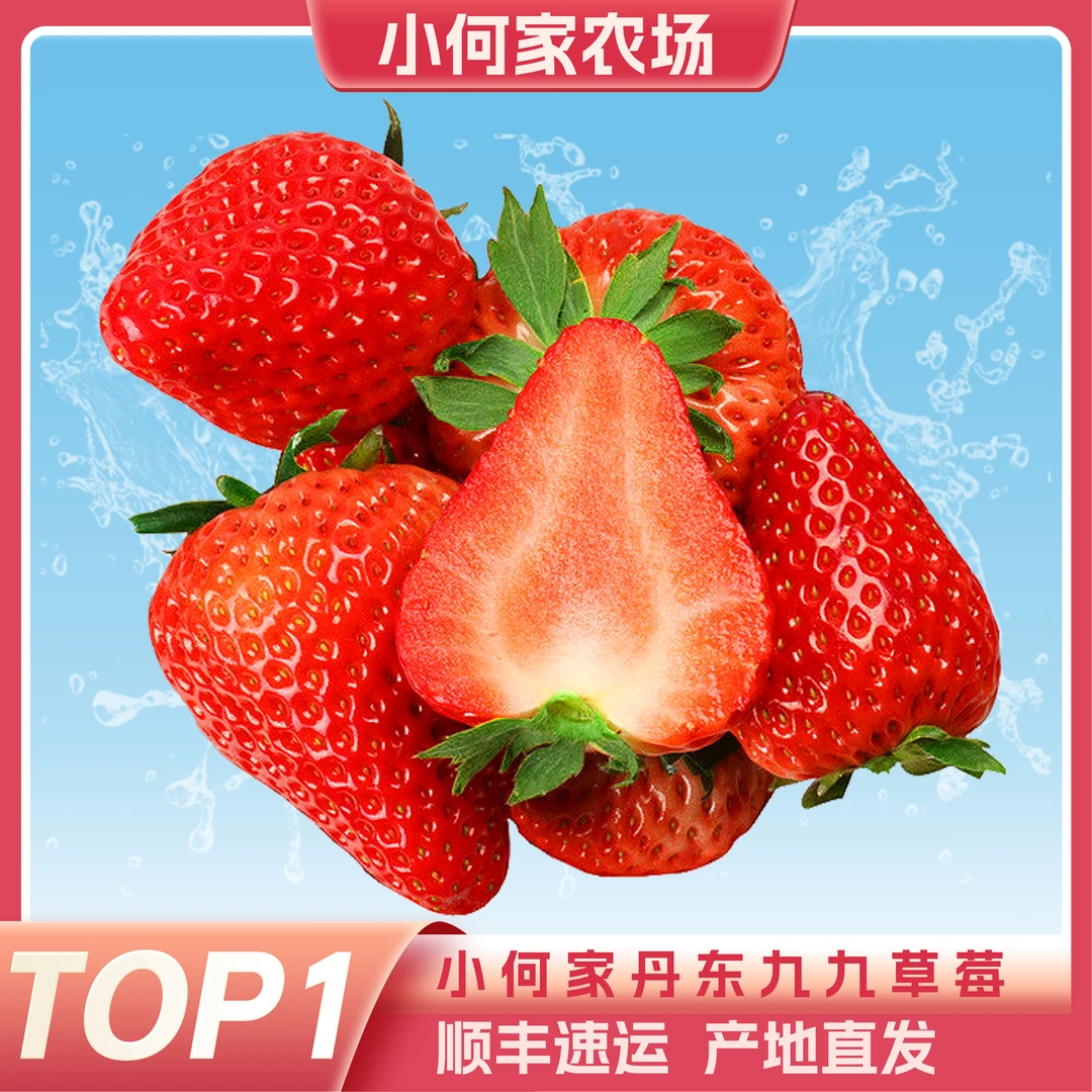 「正宗丹东草莓」丹东九九红颜牛奶大草莓2.5斤特大果35-40g现摘