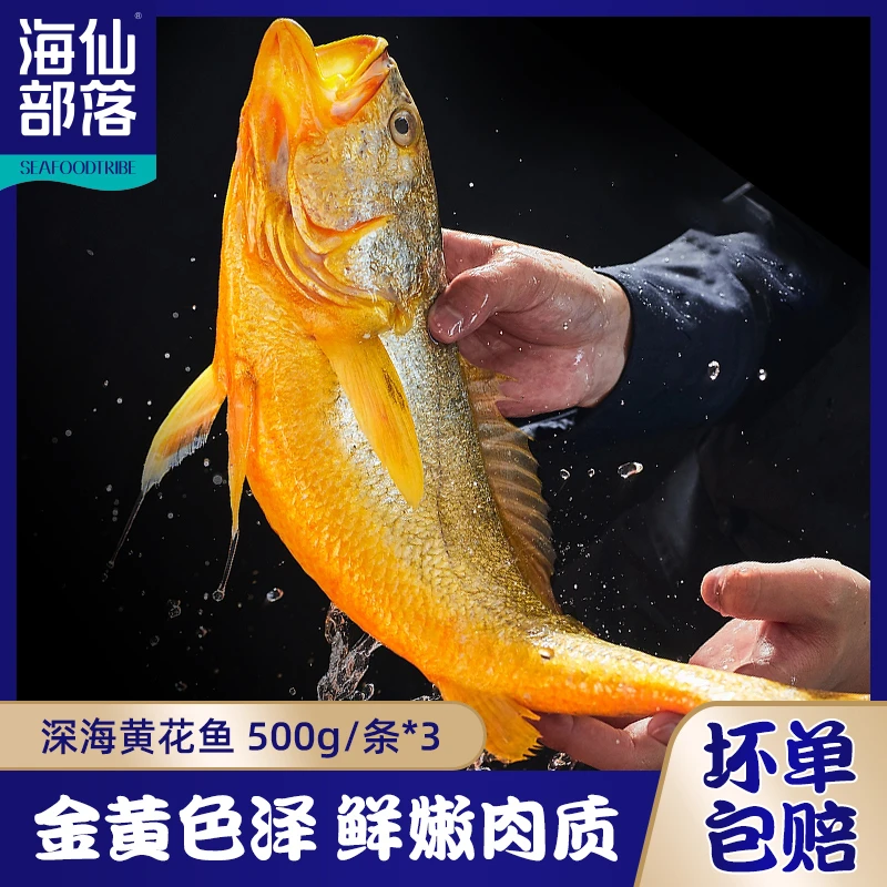 原条大黄花鱼500g/条*3 新鲜深海捕捞速冻大黄鱼肉多刺少鲜嫩美味