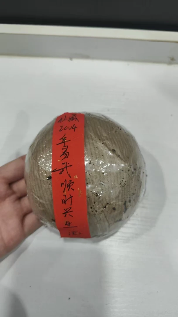 私藏2004年易武顺时兴生沱250克普洱茶生茶-BI01947