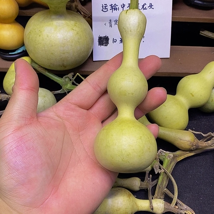 校*长嘴哈哈哈哈哈哈哈哈哈哈哈好