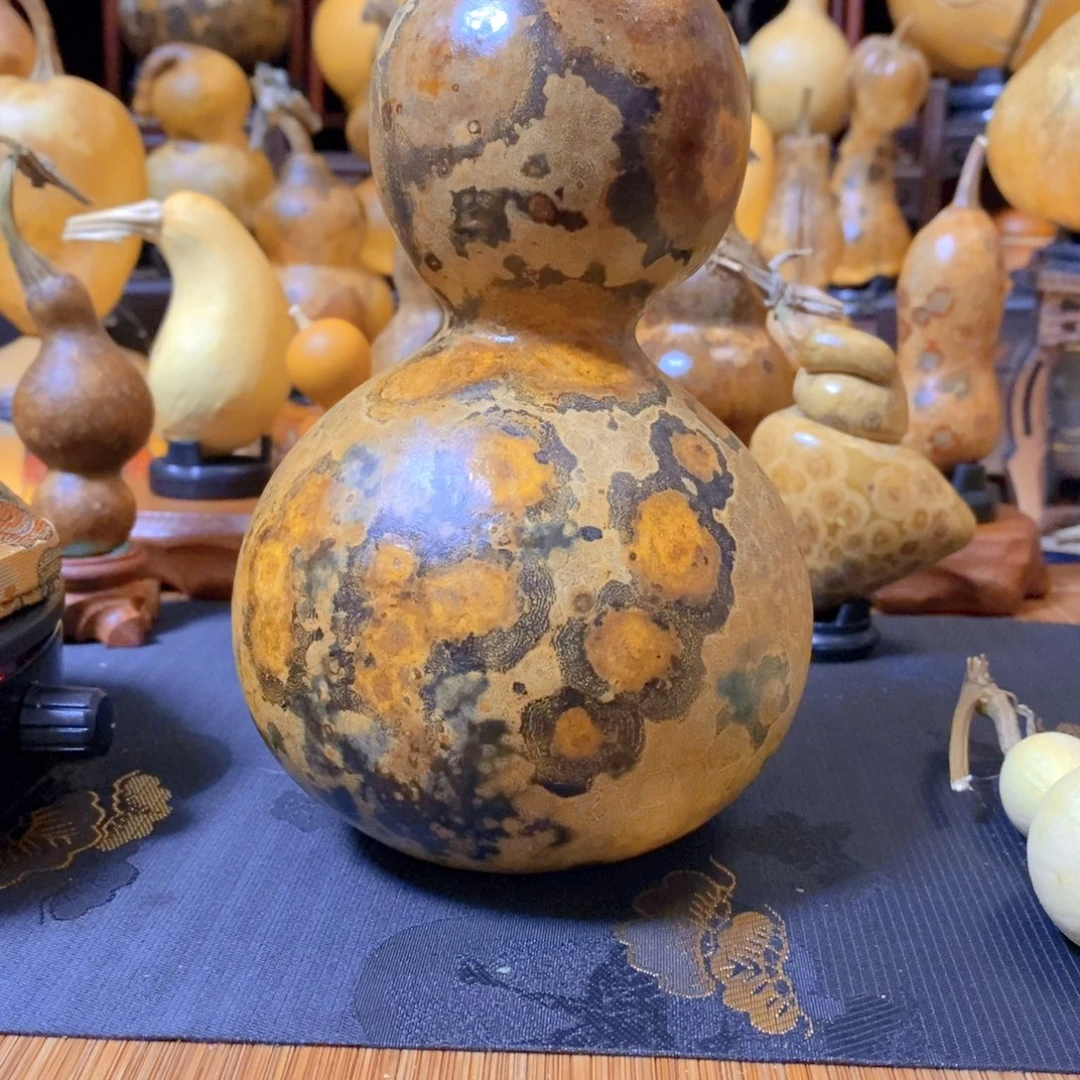 精品精品精品精品