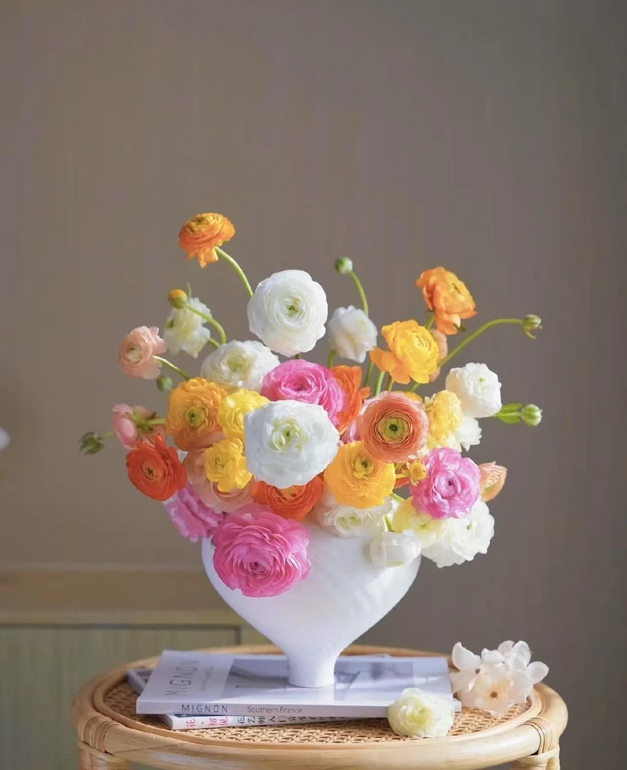 【葡噗花舍】选色洋牡丹 基地直发  超长待机