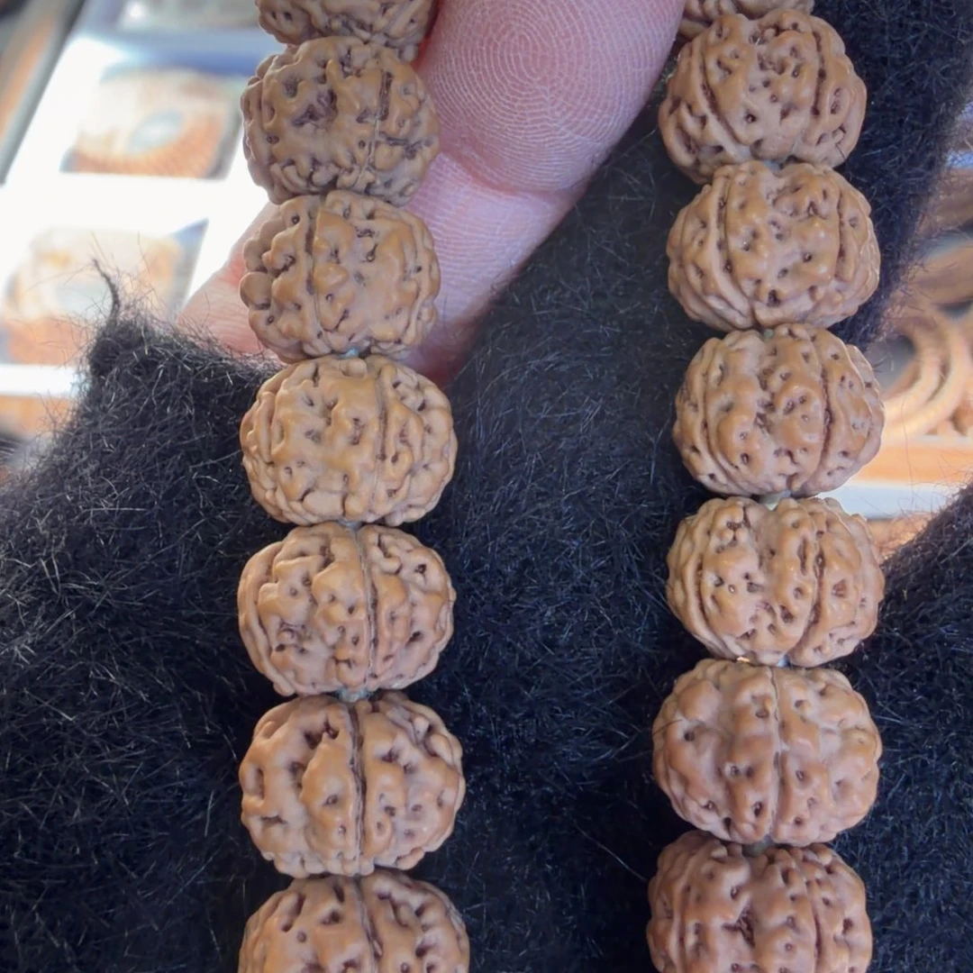 手串金刚菩提老树梅花